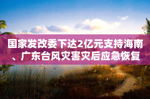 国家发改委下达2亿元支持海南、广东台风灾害灾后应急恢复-第1张图片-靖非智能科技传媒