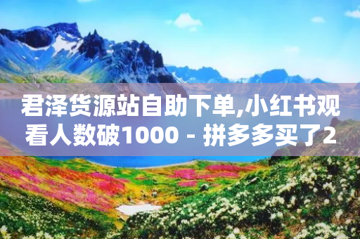 君泽货源站自助下单,小红书观看人数破1000 - 拼多多买了200刀全被吞了 - 朋友叫我拼多多助力-第1张图片-靖非智能科技传媒