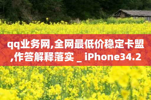 qq业务网,全网最低价稳定卡盟,作答解释落实 _ iPhone34.2.67