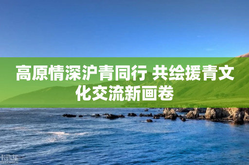 高原情深沪青同行 共绘援青文化交流新画卷