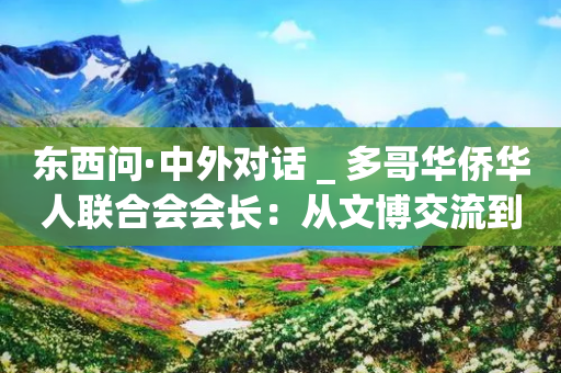 东西问·中外对话 _ 多哥华侨华人联合会会长：从文博交流到绿色发展 中非合作恰逢其时