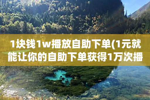 1块钱1w播放自助下单(1元就能让你的自助下单获得1万次播放)-第1张图片-靖非智能科技传媒