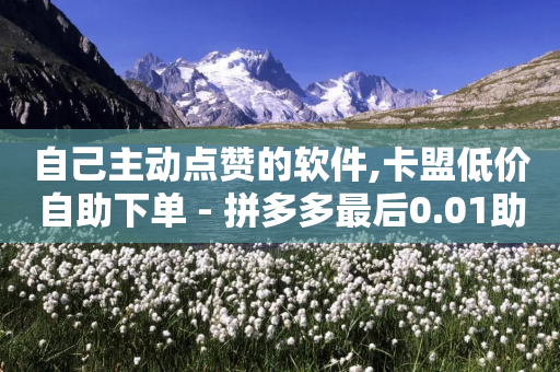 自己主动点赞的软件,卡盟低价自助下单 - 拼多多最后0.01助力不了 - 拼多多50块钱多少个人能助力