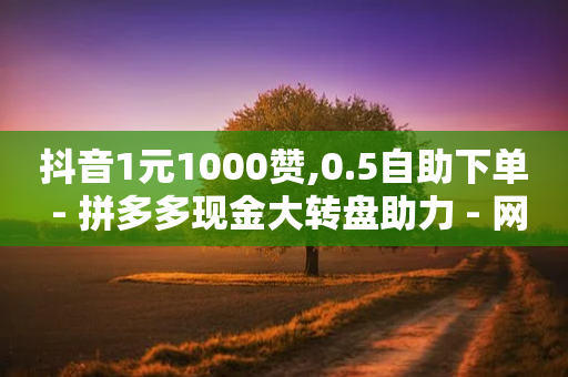 抖音1元1000赞,0.5自助下单 - 拼多多现金大转盘助力 - 网红店-第1张图片-靖非智能科技传媒