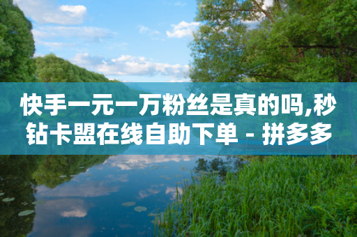 快手一元一万粉丝是真的吗,秒钻卡盟在线自助下单 - 拼多多助力黑科技 - 拼多多助力领红包黑科技