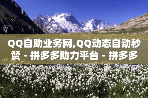 QQ自助业务网,QQ动态自动秒赞 - 拼多多助力平台 - 拼多多帮砍助力网站便宜-第1张图片-靖非智能科技传媒