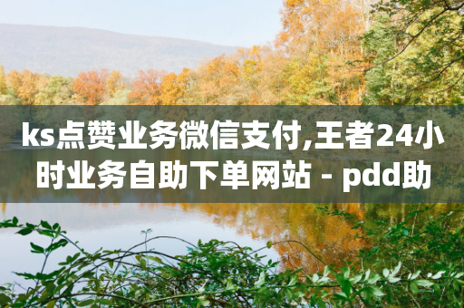 ks点赞业务微信支付,王者24小时业务自助下单网站 - pdd助力平台 - 拼多多商家网页版入口免登录-第1张图片-靖非智能科技传媒