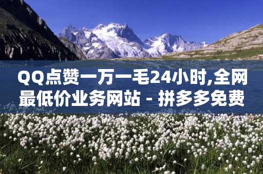 QQ点赞一万一毛24小时,全网最低价业务网站 - 拼多多免费助力网站入口 - 微信游戏互助群2024版