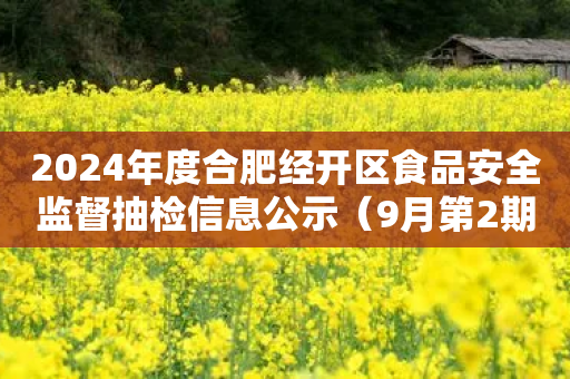 2024年度合肥经开区食品安全监督抽检信息公示（9月第2期）-第1张图片-靖非智能科技传媒