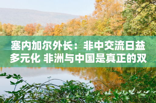 塞内加尔外长：非中交流日益多元化 非洲与中国是真正的双赢关系丨世界观-第1张图片-靖非智能科技传媒