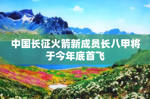 中国长征火箭新成员长八甲将于今年底首飞-第1张图片-靖非智能科技传媒