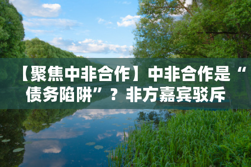 【聚焦中非合作】中非合作是“债务陷阱”？非方嘉宾驳斥-第1张图片-靖非智能科技传媒