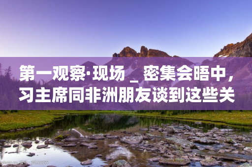 第一观察·现场 _ 密集会晤中，习主席同非洲朋友谈到这些关键词-第1张图片-靖非智能科技传媒