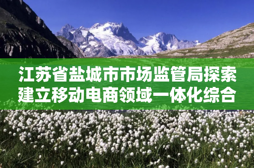 江苏省盐城市市场监管局探索建立移动电商领域一体化综合监管新模式-第1张图片-靖非智能科技传媒