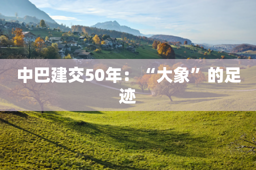 中巴建交50年：“大象”的足迹-第1张图片-靖非智能科技传媒