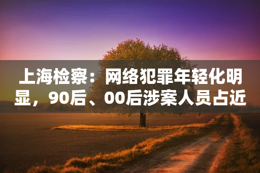 上海检察：网络犯罪年轻化明显，90后、00后涉案人员占近七成