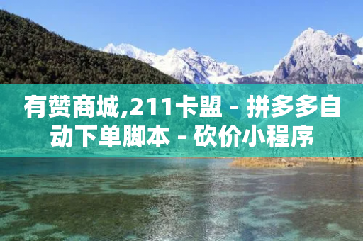 有赞商城,211卡盟 - 拼多多自动下单脚本 - 砍价小程序-第1张图片-靖非智能科技传媒