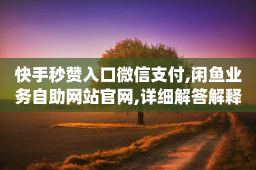 快手秒赞入口微信支付,闲鱼业务自助网站官网,详细解答解释落实 _ IOS89.32.168-第1张图片-靖非智能科技传媒