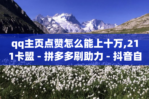 qq主页点赞怎么能上十万,211卡盟 - 拼多多刷助力 - 抖音自助赞平台24小时发货-第1张图片-靖非智能科技传媒