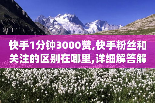 快手1分钟3000赞,快手粉丝和关注的区别在哪里,详细解答解释落实 _ 3DM72.34.35