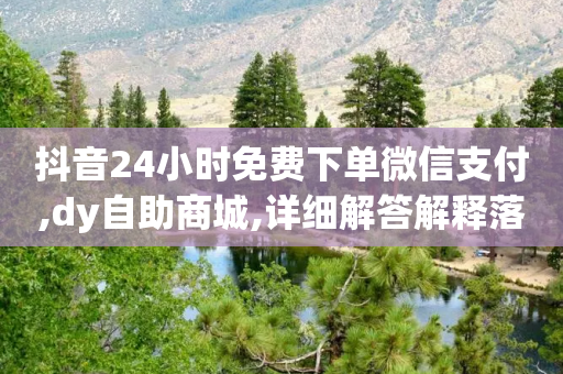 抖音24小时免费下单微信支付,dy自助商城,详细解答解释落实 _ GM版169.322.238