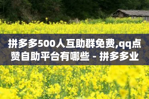 拼多多500人互助群免费,qq点赞自助平台有哪些 - 拼多多业务网 - 手机端拼多多商家退店-第1张图片-靖非智能科技传媒