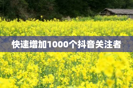 快速增加1000个抖音关注者