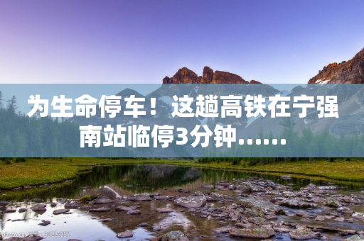 为生命停车！这趟高铁在宁强南站临停3分钟……-第1张图片-靖非智能科技传媒