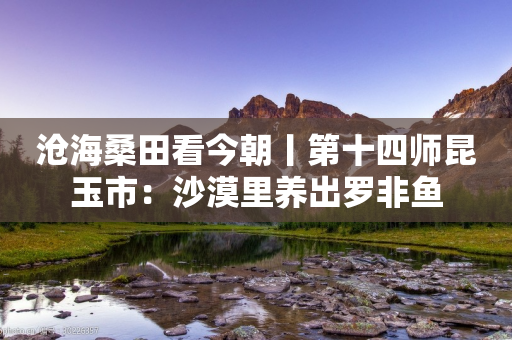 沧海桑田看今朝丨第十四师昆玉市：沙漠里养出罗非鱼-第1张图片-靖非智能科技传媒