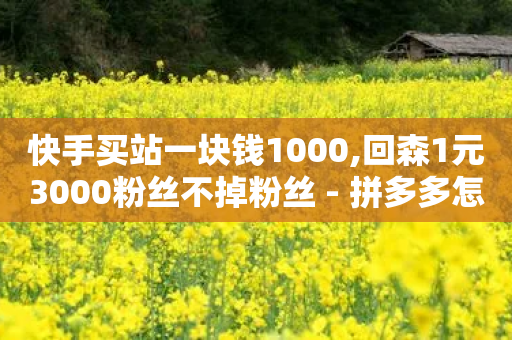 快手买站一块钱1000,回森1元3000粉丝不掉粉丝 - 拼多多怎么助力成功 - 拼多多新人返40元-第1张图片-靖非智能科技传媒