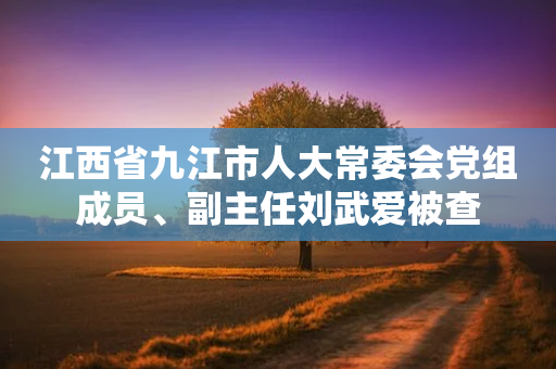 江西省九江市人大常委会~组成员、副主任刘武爱被查-第1张图片-靖非智能科技传媒