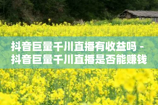 抖音巨量千川直播有收益吗 - 抖音巨量千川直播是否能赚钱？查看收益分析~-第1张图片-靖非智能科技传媒