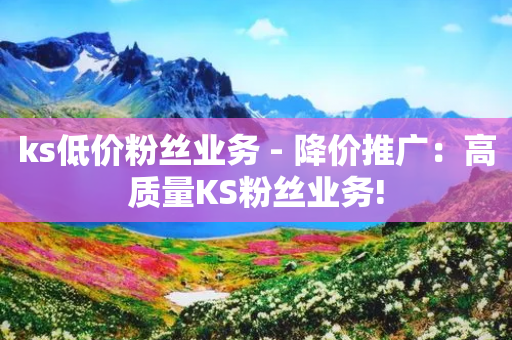 ks低价粉丝业务 - 降价推广：高质量KS粉丝业务!-第1张图片-靖非智能科技传媒