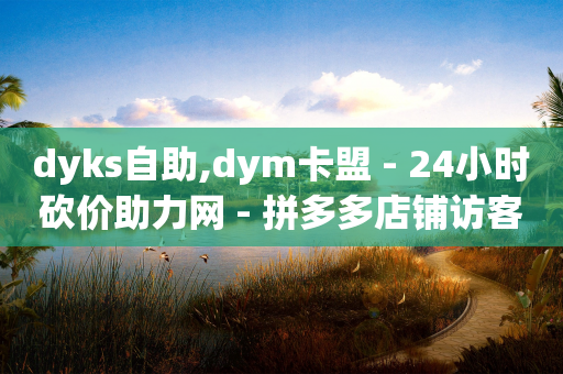 dyks自助,dym卡盟 - 24小时砍价助力网 - 拼多多店铺访客量助手-第1张图片-靖非智能科技传媒