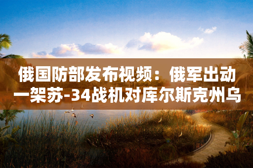 俄国防部发布视频：俄军出动一架苏-34战机对库尔斯克州乌军目标进行打击-第1张图片-靖非智能科技传媒