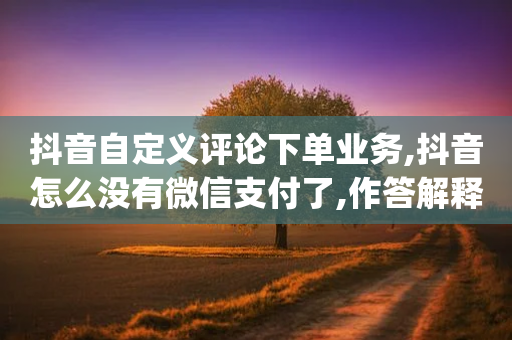 抖音自定义评论下单业务,抖音怎么没有微信支付了,作答解释落实 _ iPhone34.2.216-第1张图片-靖非智能科技传媒