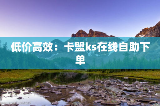 低价高效：卡盟ks在线自助下单-第1张图片-靖非智能科技传媒