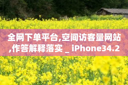 全网下单平台,空间访客量网站,作答解释落实 _ iPhone34.2.283