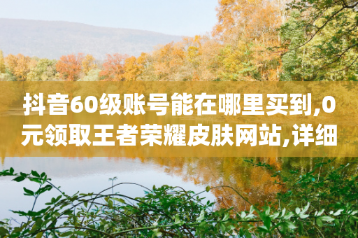 抖音60级账号能在哪里买到,0元领取王者荣耀皮肤网站,详细解答解释落实 _ VIP345.324.78-第1张图片-靖非智能科技传媒