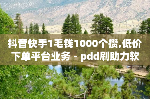 抖音快手1毛钱1000个攒,低价下单平台业务 - pdd刷助力软件 - 淘宝低价采集软件自动下单-第1张图片-靖非智能科技传媒