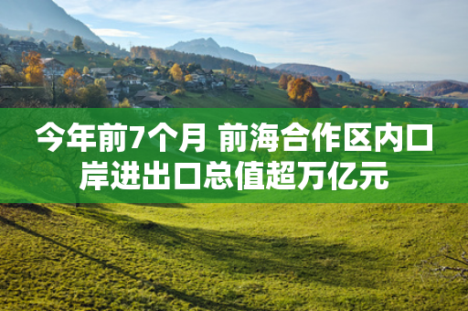 今年前7个月 前海合作区内口岸进出口总值超万亿元-第1张图片-靖非智能科技传媒