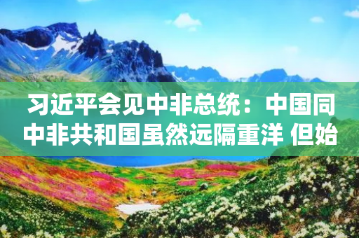 习近平会见中非总统：中国同中非共和国虽然远隔重洋 但始终携手并肩 心心相印