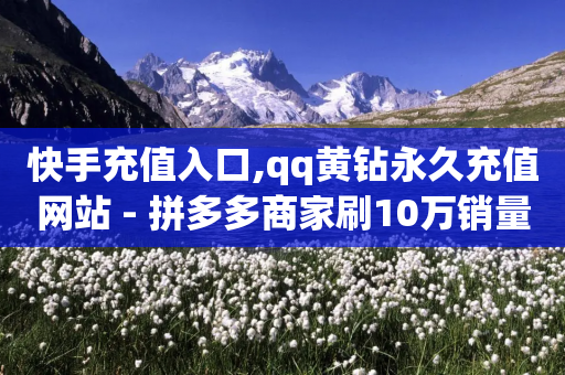 快手充值入口,qq黄钻永久充值网站 - 拼多多商家刷10万销量 - 网红自助下单商城