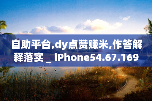 自助平台,dy点赞赚米,作答解释落实 _ iPhone54.67.169