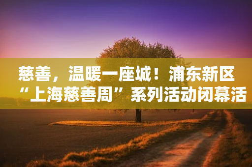 慈善，温暖一座城！浦东新区“上海慈善周”系列活动闭幕活动举行-第1张图片-靖非智能科技传媒