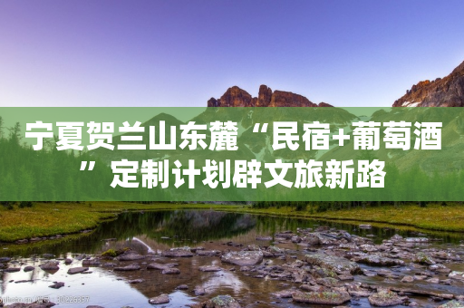 宁夏贺兰山东麓“民宿+葡萄酒”定制计划辟文旅新路