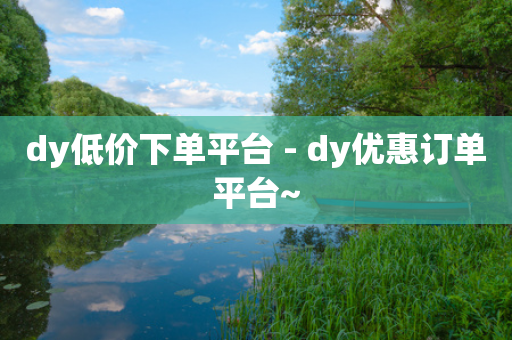 dy低价下单平台 - dy优惠订单平台~