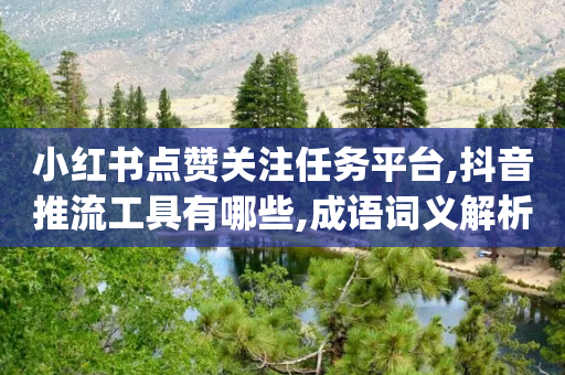 小红书点赞关注任务平台,抖音推流工具有哪些,成语词义解析_ GM版169.322.156