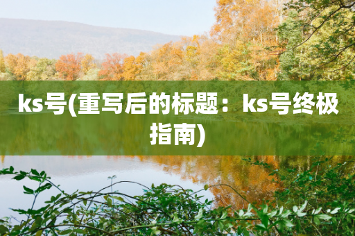 ks号(重写后的标题：ks号终极指南)-第1张图片-靖非智能科技传媒