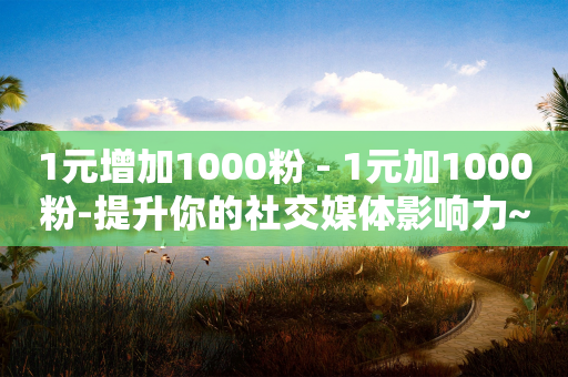 1元增加1000粉 - 1元加1000粉-提升你的社交媒体影响力~